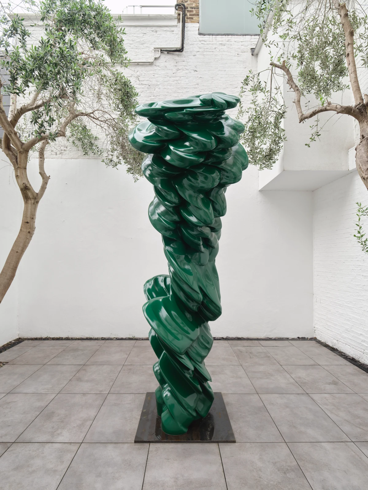 Tony Cragg, Contradiction, 2024