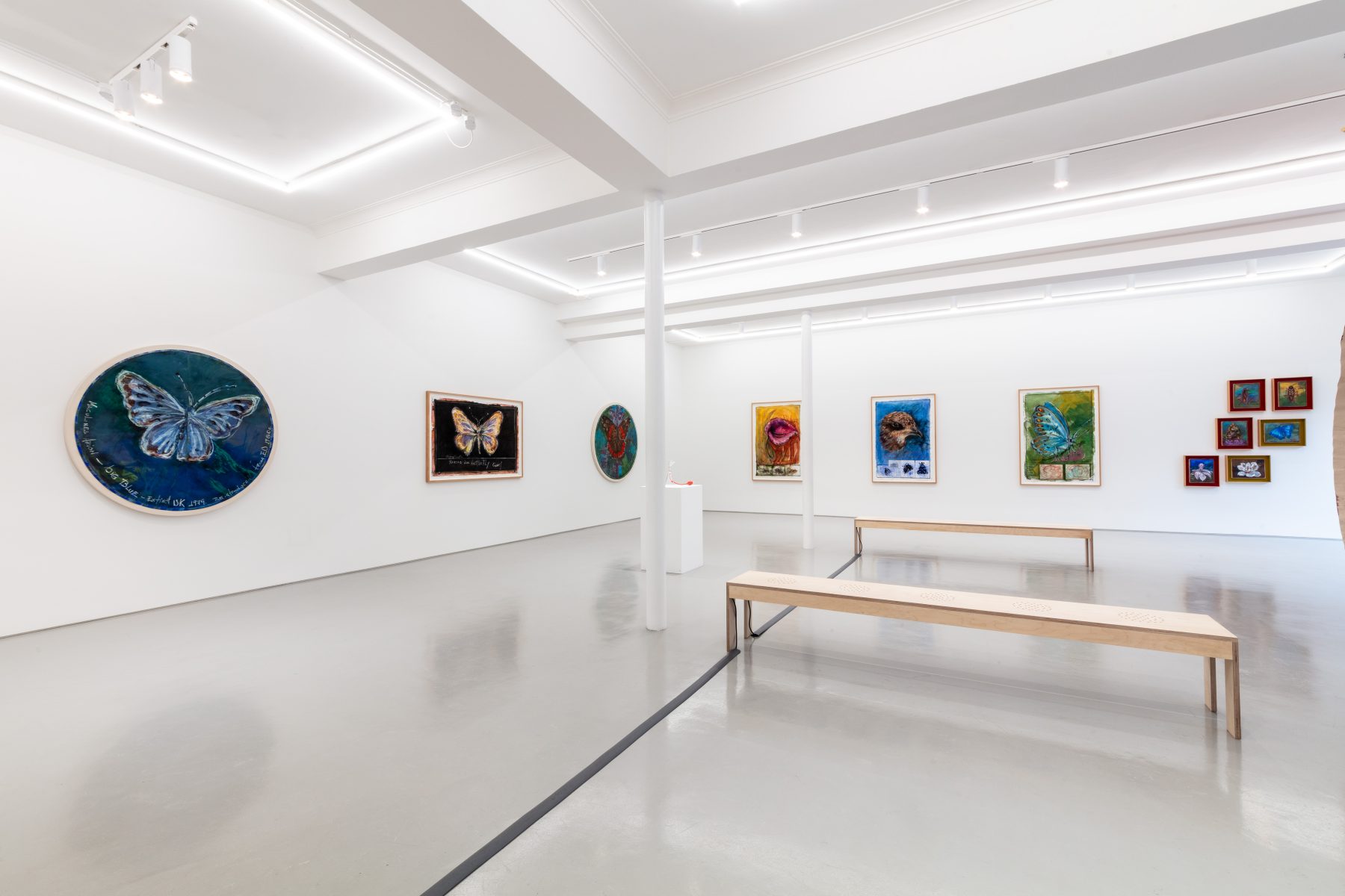 Image for Oswaldo Maciá: Migratory Movements at Elizabeth Xi Bauer, Exmouth Market