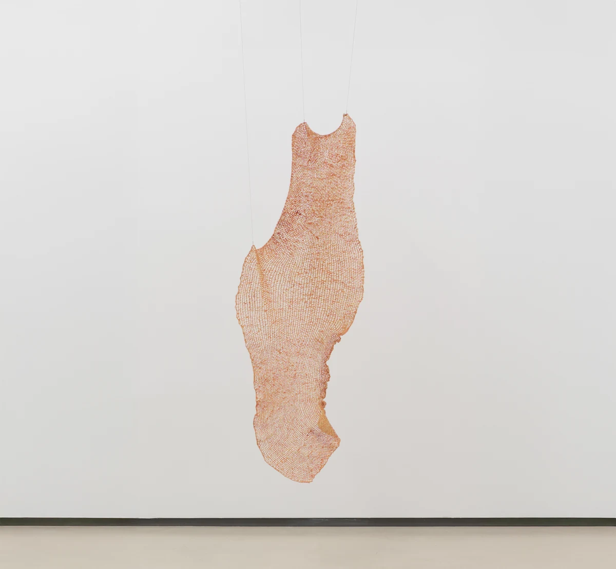 Sofía Fernández Díaz, membrana, 2025