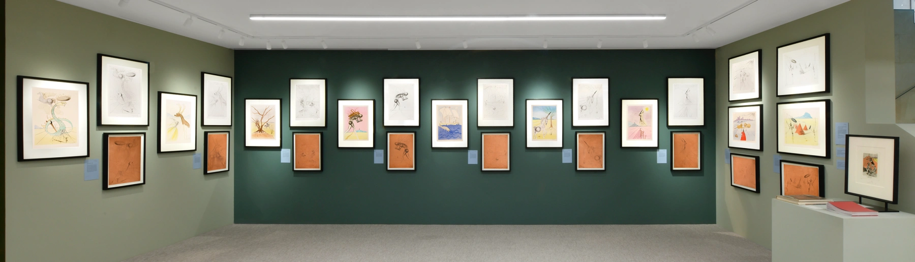 Image for Salvador Dalí: The Graphic Works at Shapero Modern