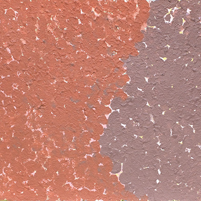 Exhibition image from the latest newsletter