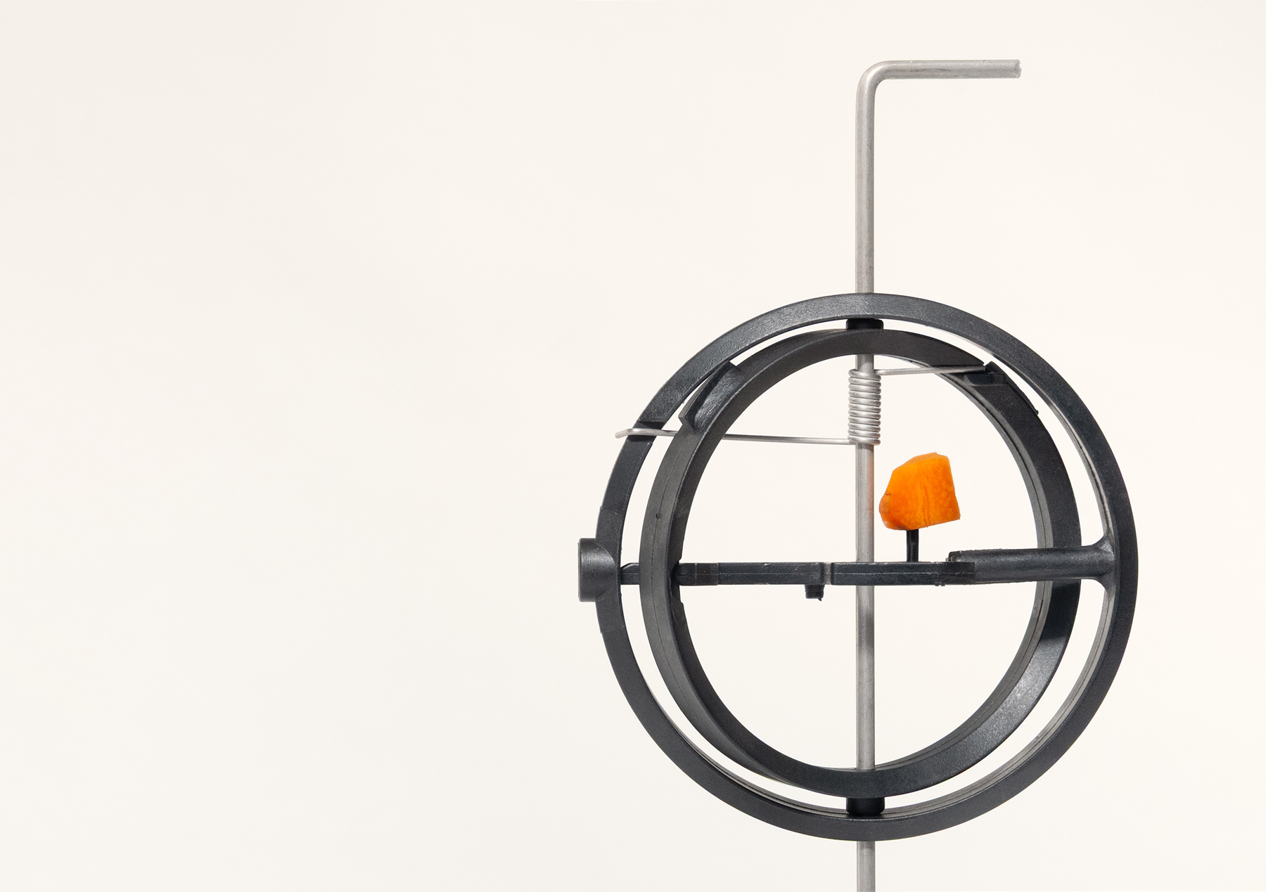 Image for Andreas Slominski: Fallen, at Galerie Bärbel Grässlin