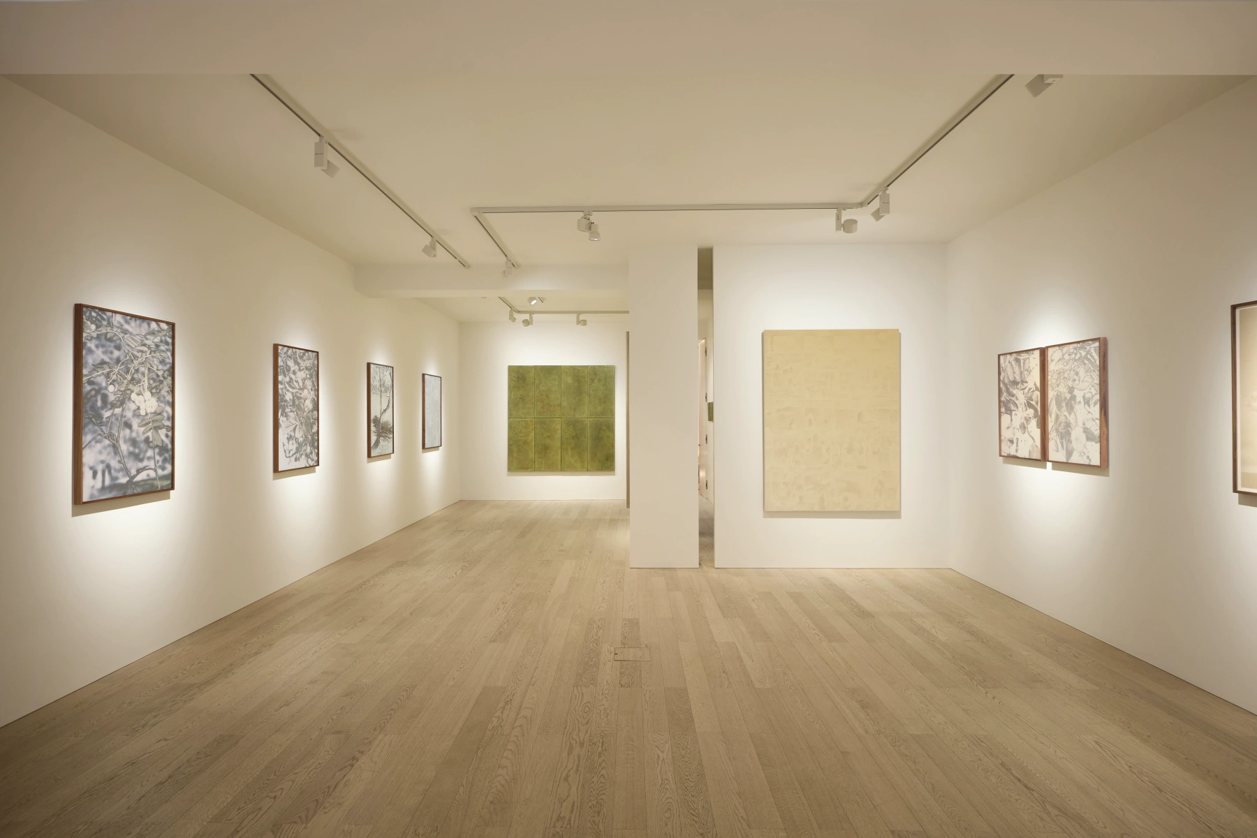 Image for The Garden and the Gaze: Xiaochi Dong & Feiyi Wen, at Albion Jeune