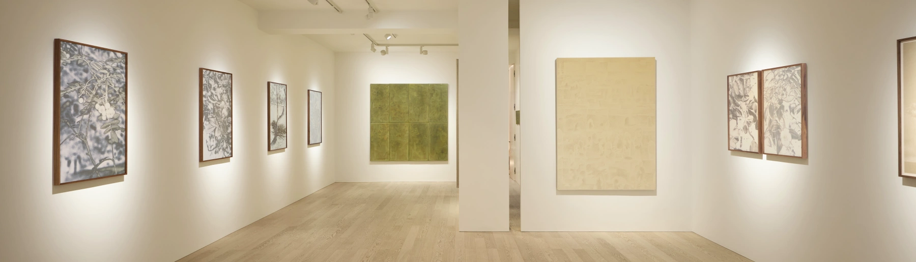 Image for The Garden and the Gaze: Xiaochi Dong & Feiyi Wen at Albion Jeune