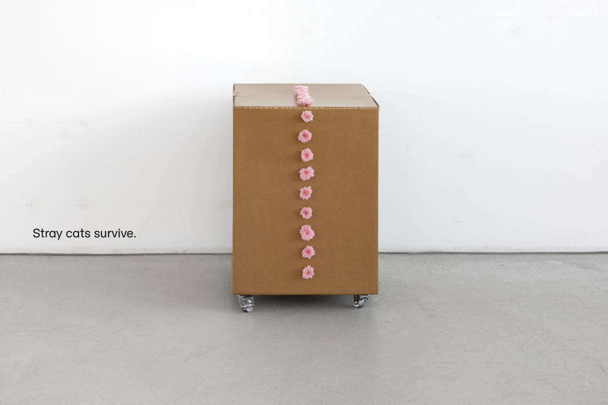 Gina Folly, Stray cats survive., 2025