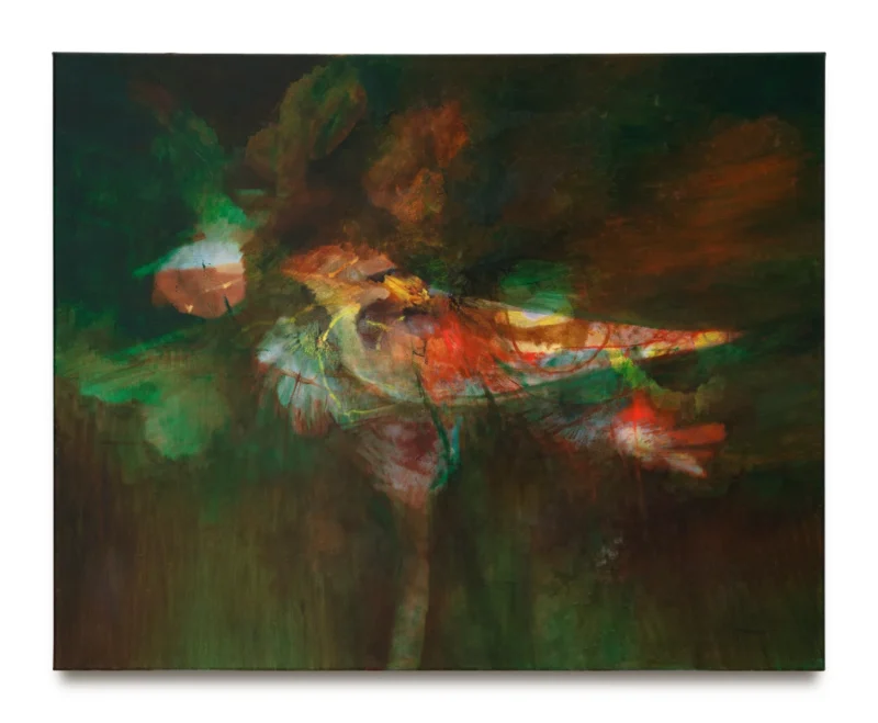 William Gaucher, Sparrow, 2025