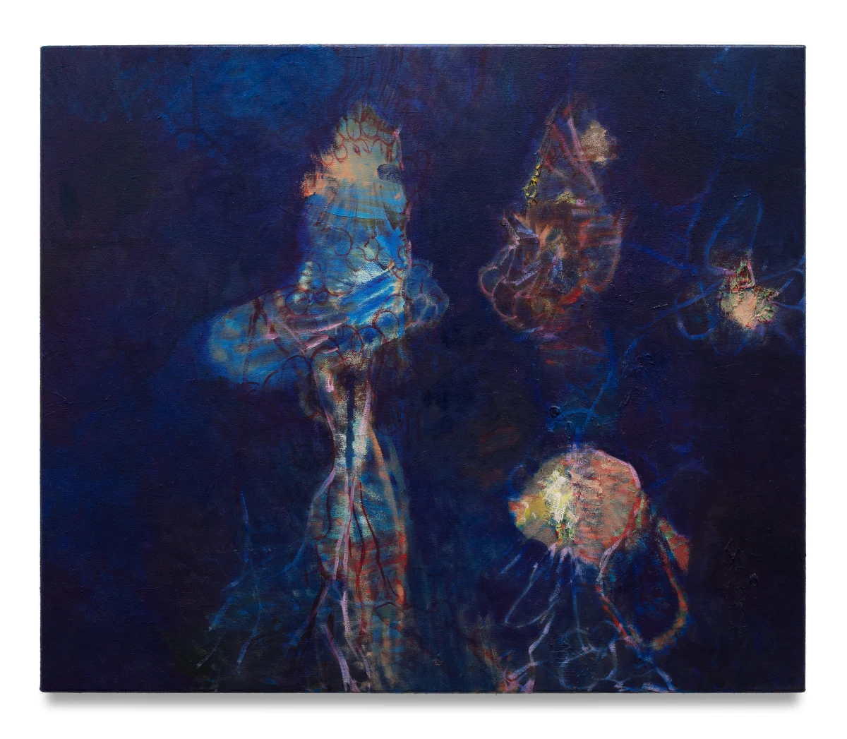 William Gaucher, The Fish’s Brain Is Not Large, But His Thoughts Are Deep, 2025