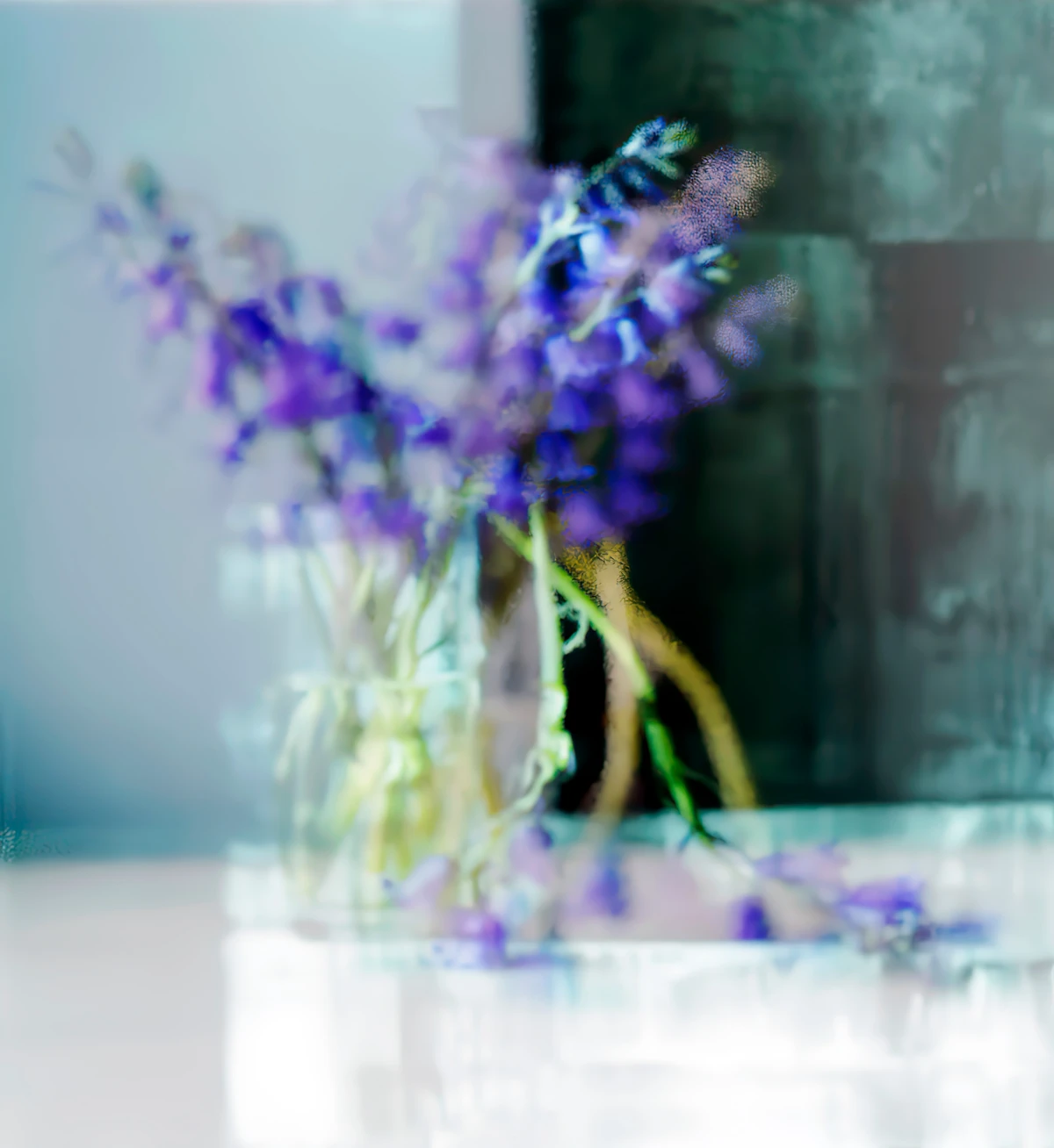 Jack Warne, Bleu Bells, 2025