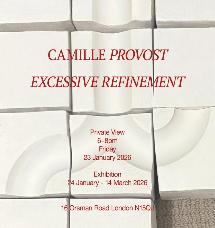 Image for Camille Provost: Excessive Refinement, at Project LOOP