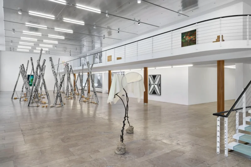 Installation shot from NOT I, @ Capitain Petzel