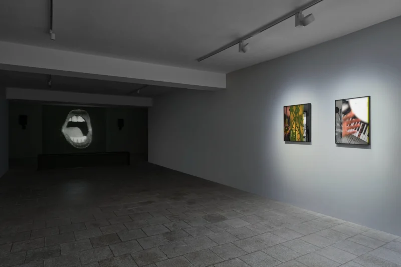 Installation shot from NOT I, @ Capitain Petzel