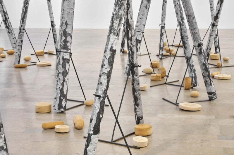 Installation shot from NOT I, @ Capitain Petzel