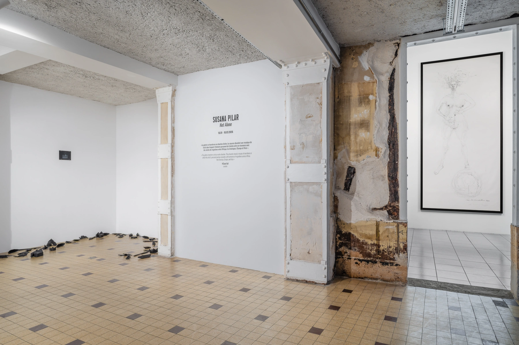 Image for Susana Pilar: Not Alone, at Galleria Continua / Paris Marais