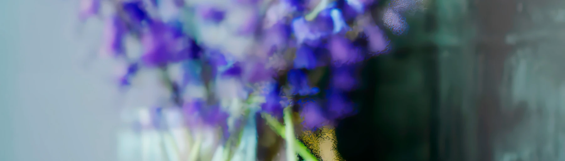 Image for Jack Warne: where love appears at Mai 36 Galerie