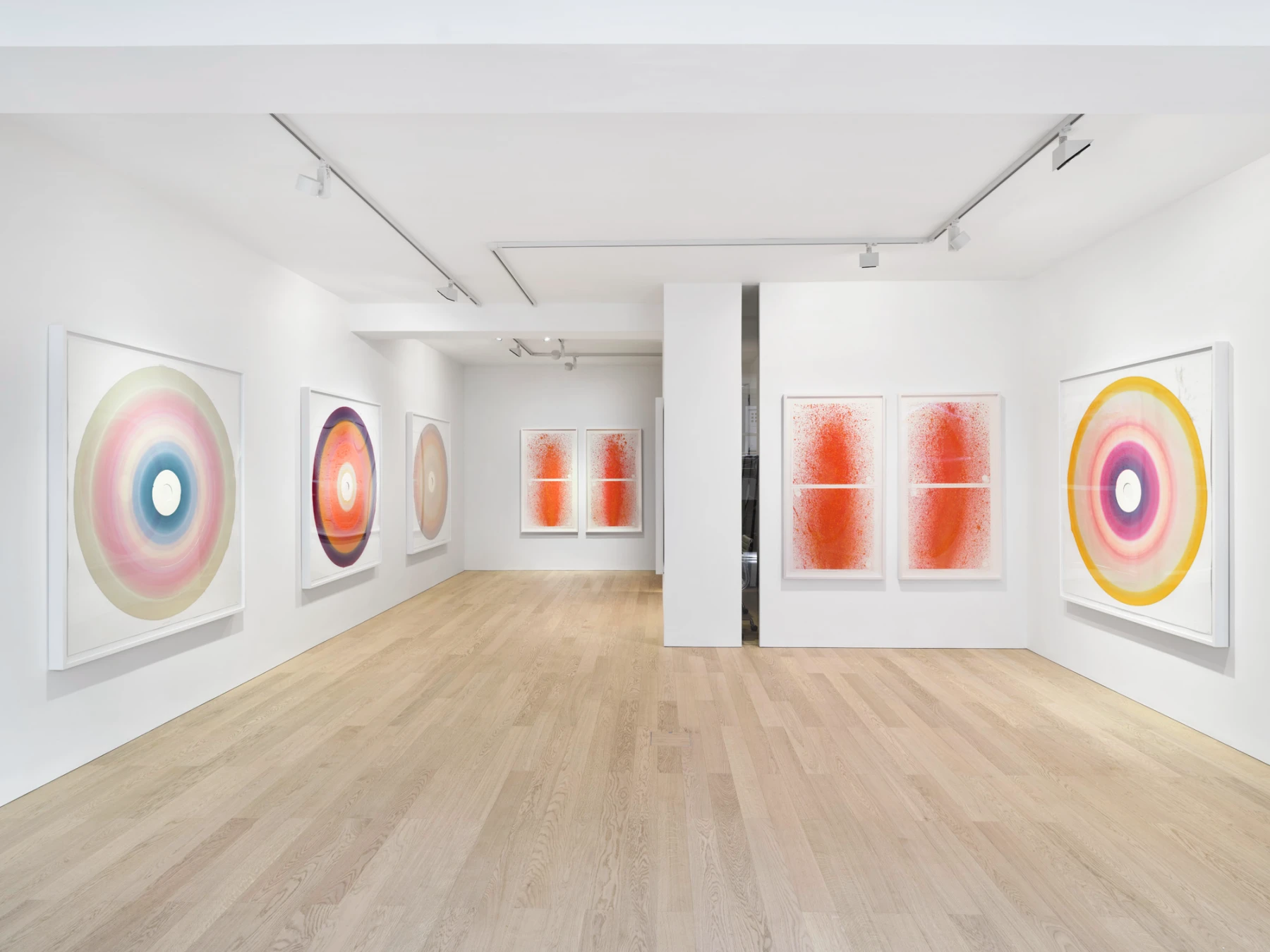 Image for James Capper & Anthony Caro, at Albion Jeune