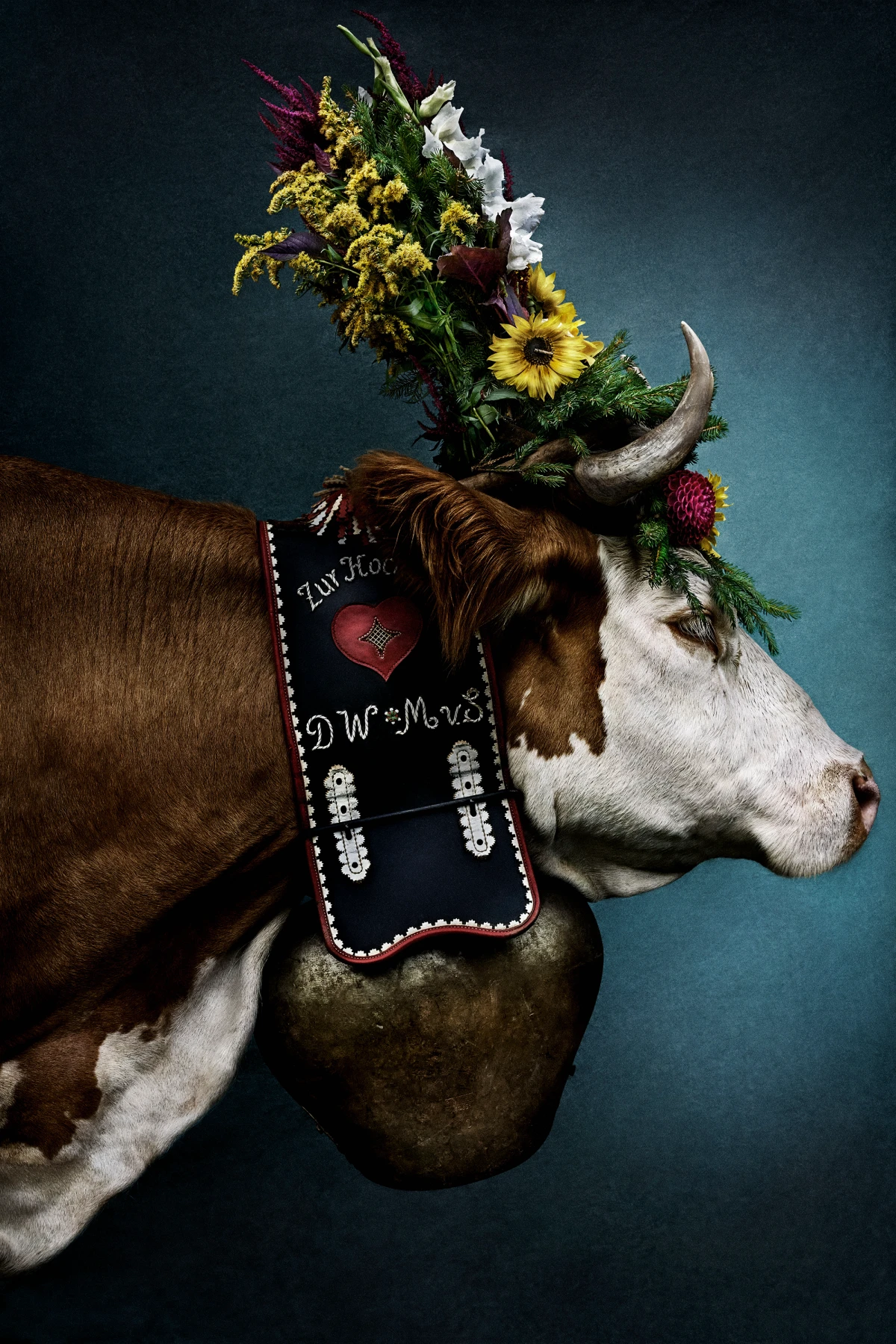 Mario Testino, Helga (I), Saanenland, 2024