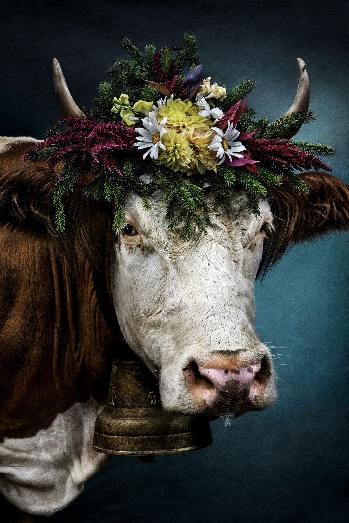 Image for Mario Testino, at Patricia Low Contemporary