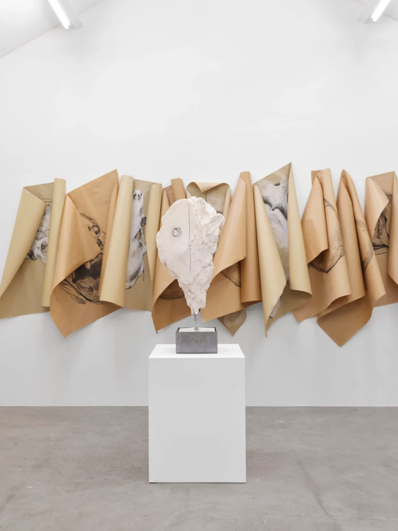 Installation shot from Collective Statement, @ NISO