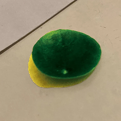 Exhibition image from the latest newsletter