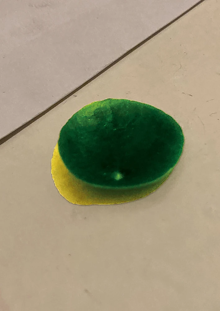 Image for Nora Schultz: Now and The non-watch, at MEYER*KAINER