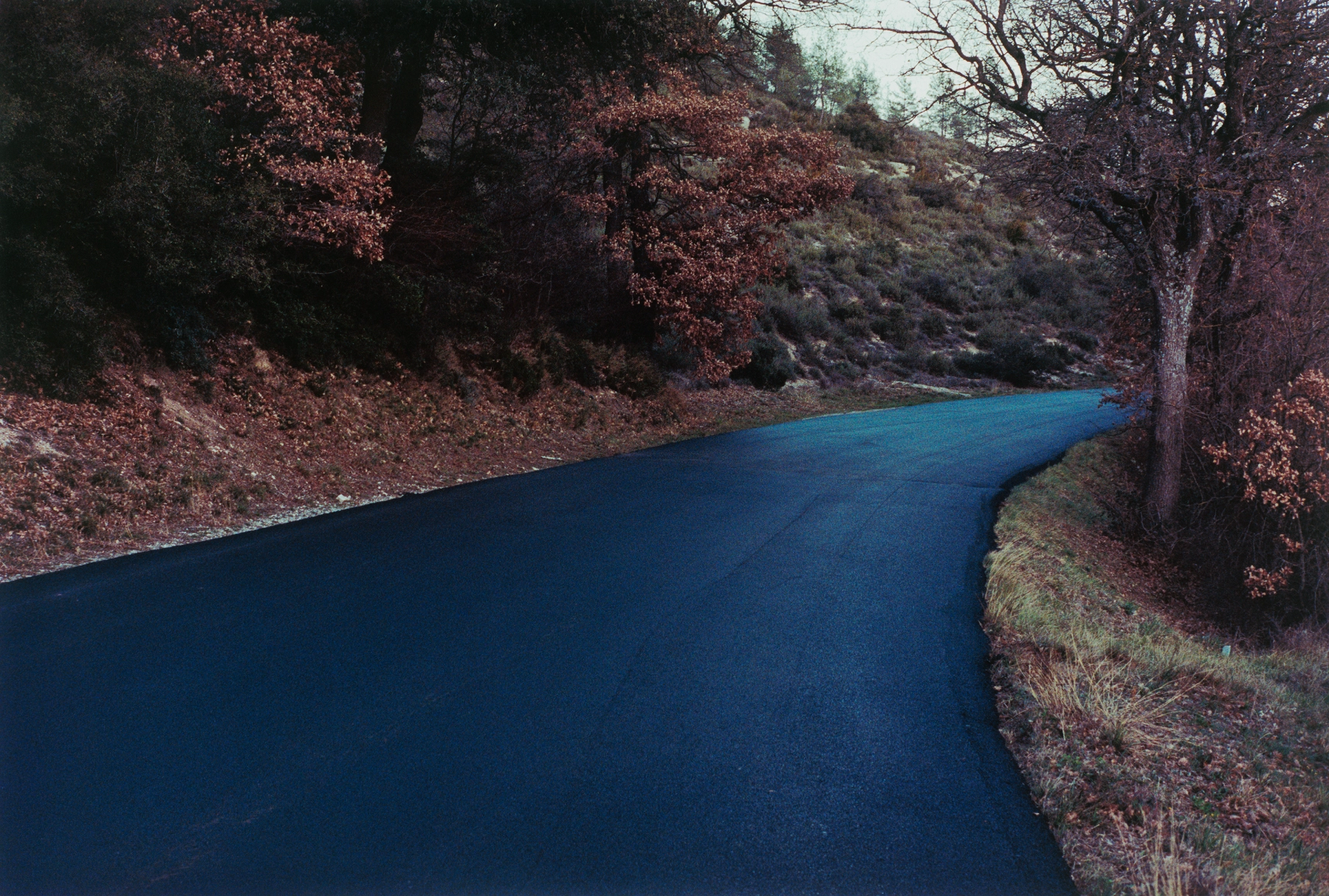 Image for Samuel Laurence Cunnane: Blue Road, at Hayward Gallery