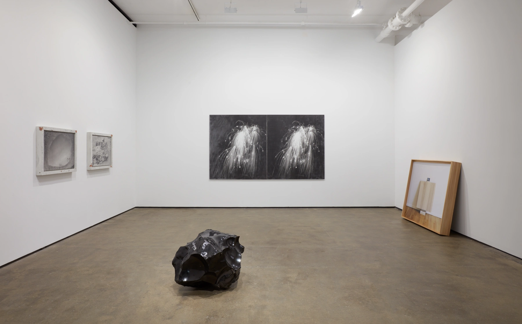 Image for Ground Work (Field Revision), at Sean Kelly Gallery