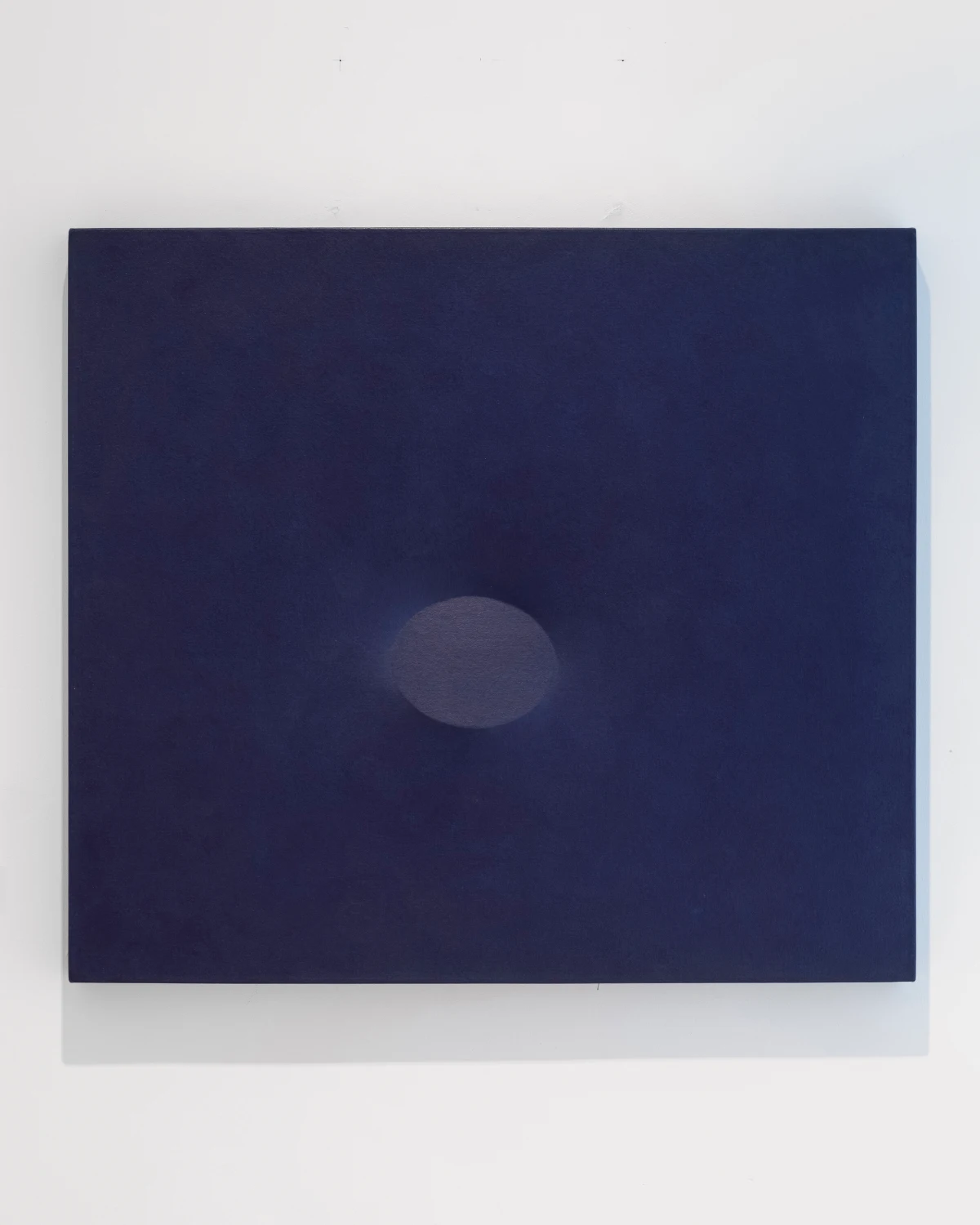 Turi Simeti, Un ovale viola, 1983