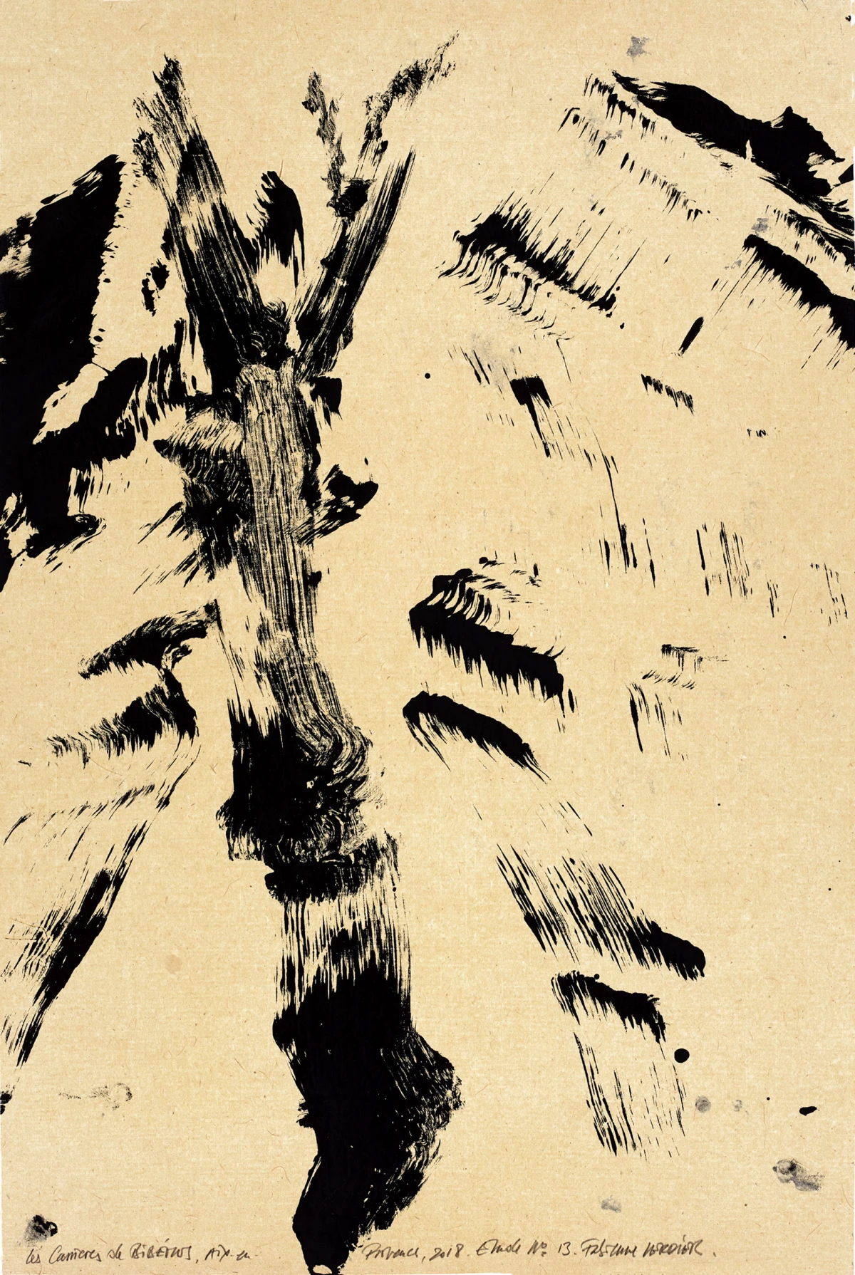 Fabienne Verdier, Les carrières de Bibémus, étude no.13, 2018