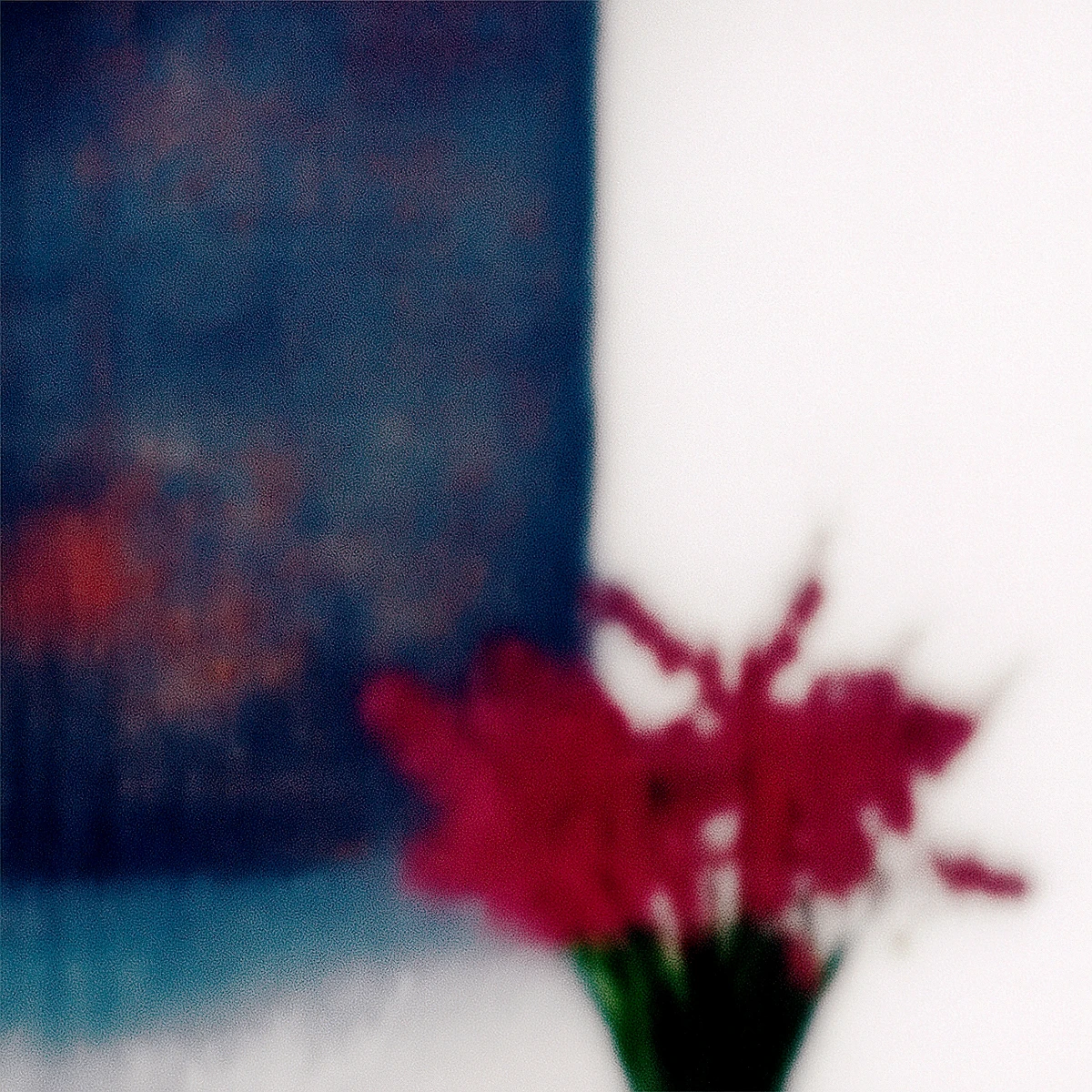 Jack Warne, Woolwersolf, 2025