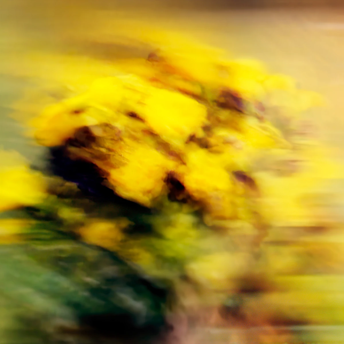 Jack Warne, Llewoy Soser, 2025