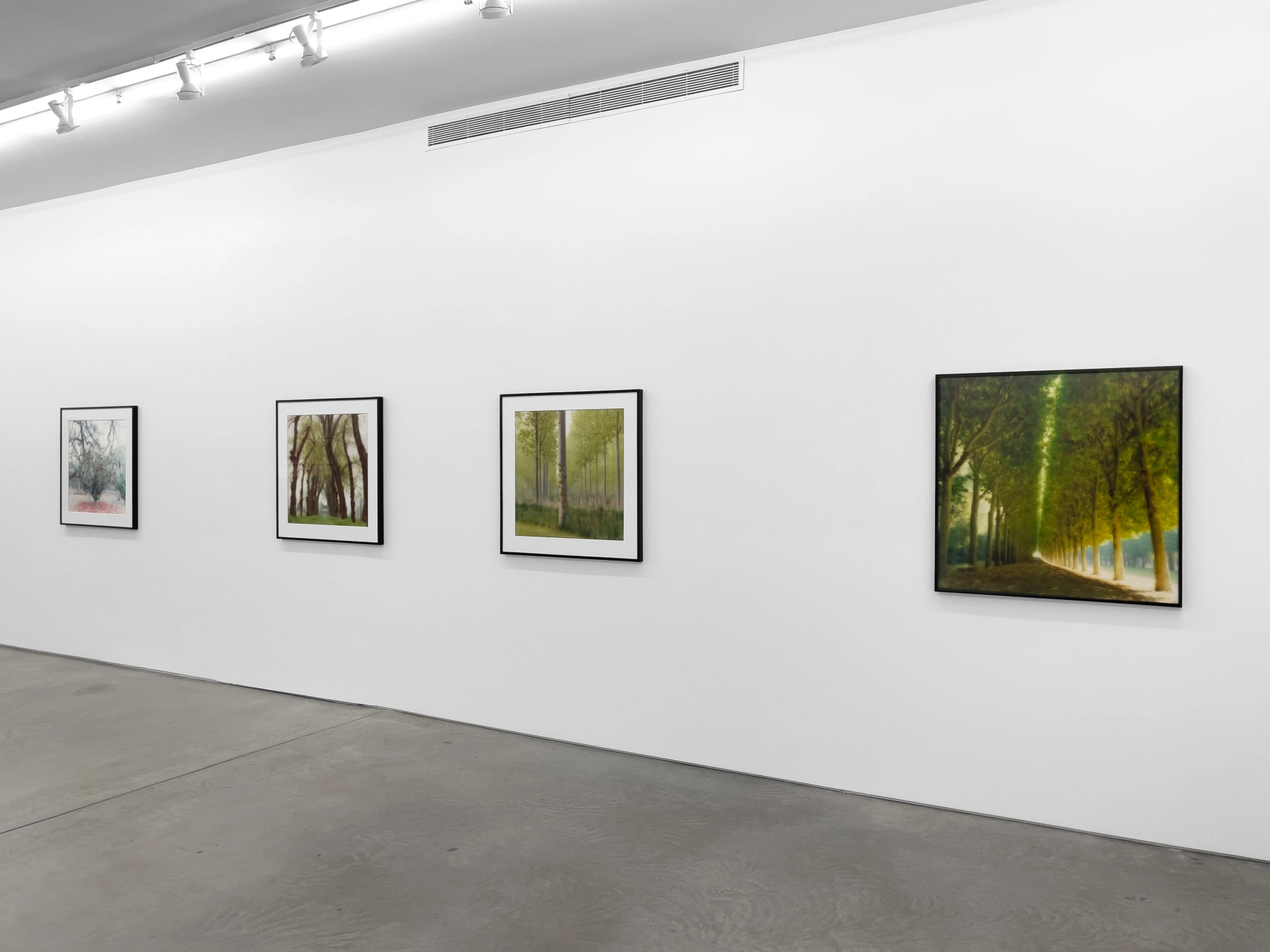 Image for Lynn Geesaman, at Yancey Richardson Gallery