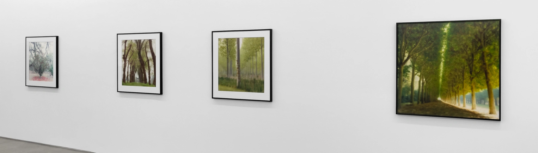 Image for Lynn Geesaman at Yancey Richardson Gallery