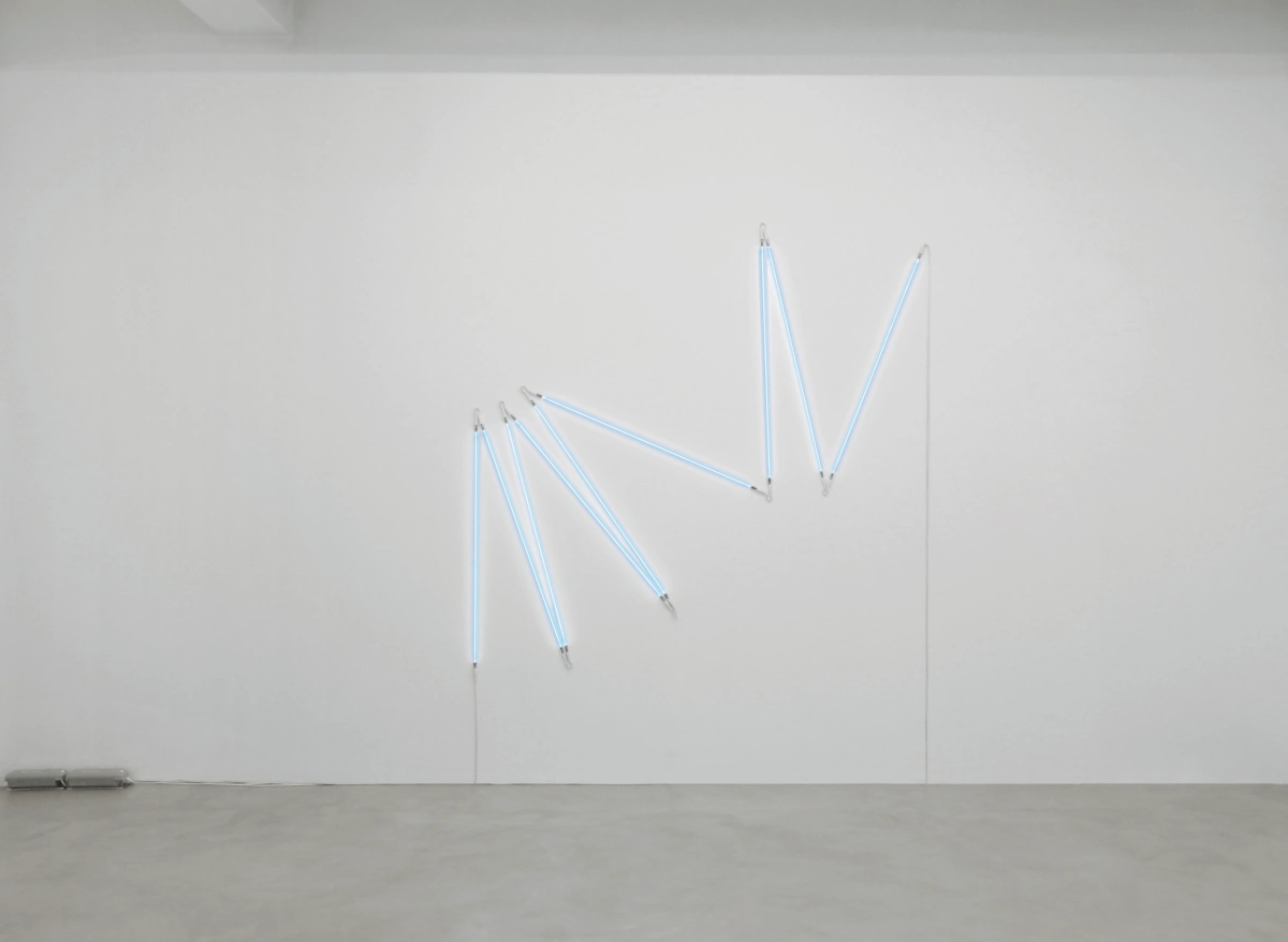 François Morellet, π piquant neonly n°9 1=6°, 2007