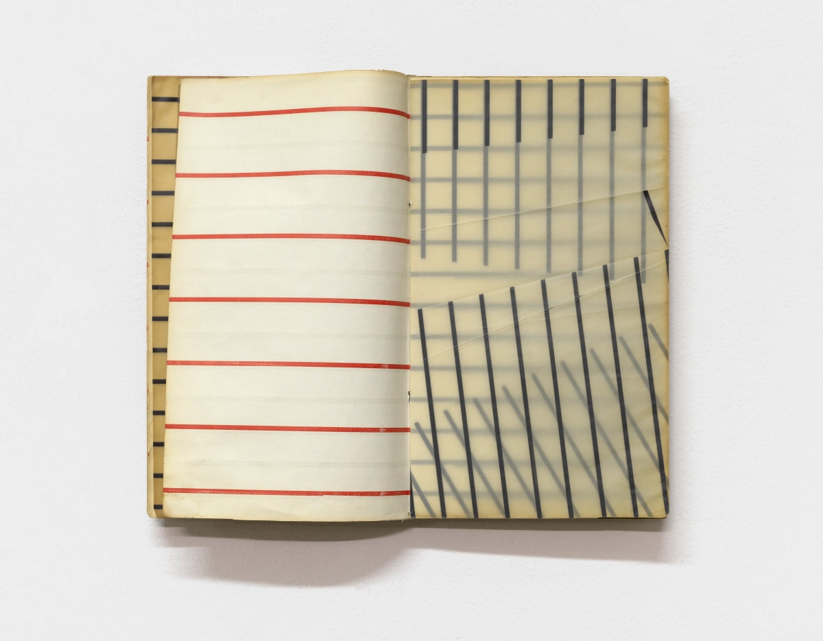 Grazia Varisco, Pagine scelte da “se...” racconto a trame parallele, 1978