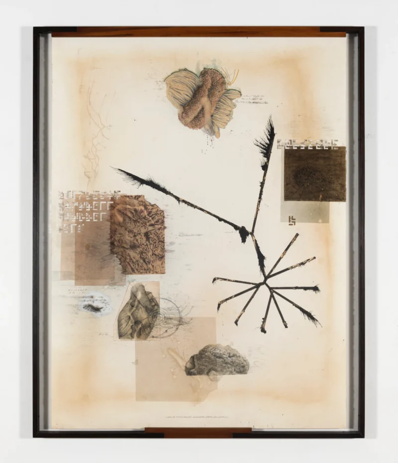 Jitish Kallat, Hexalemma (Earthling Chant), 2024-2025