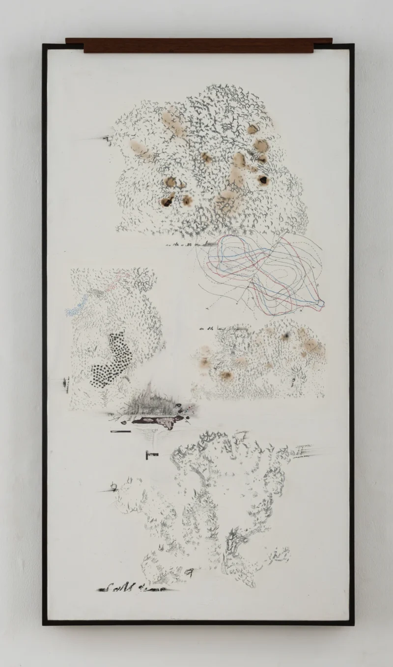 Jitish Kallat, Albedo (Point of Incidence), 2024-2025