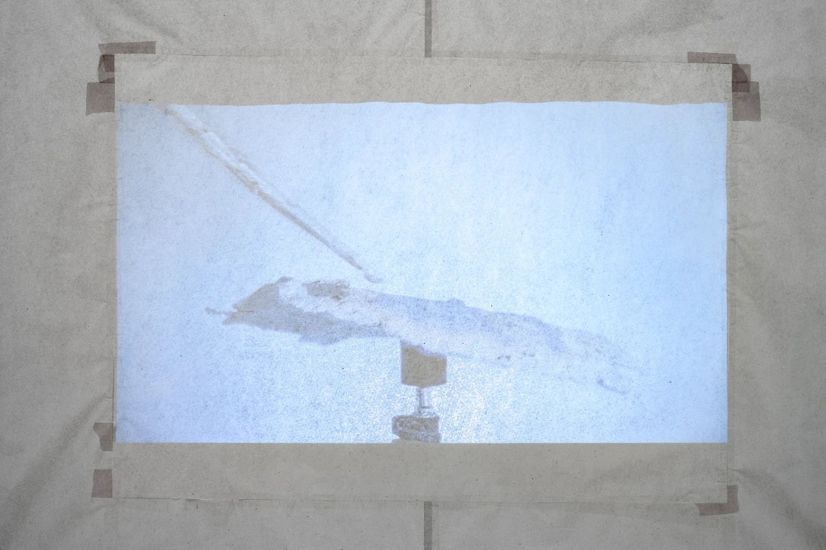 Nora Schultz, Now, and The non-watch, 2026