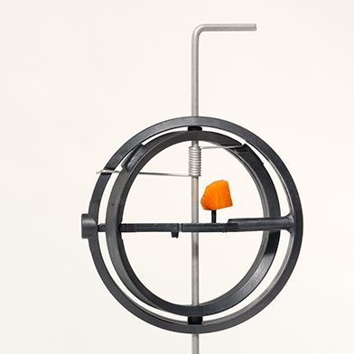 Exhibition image from the latest newsletter