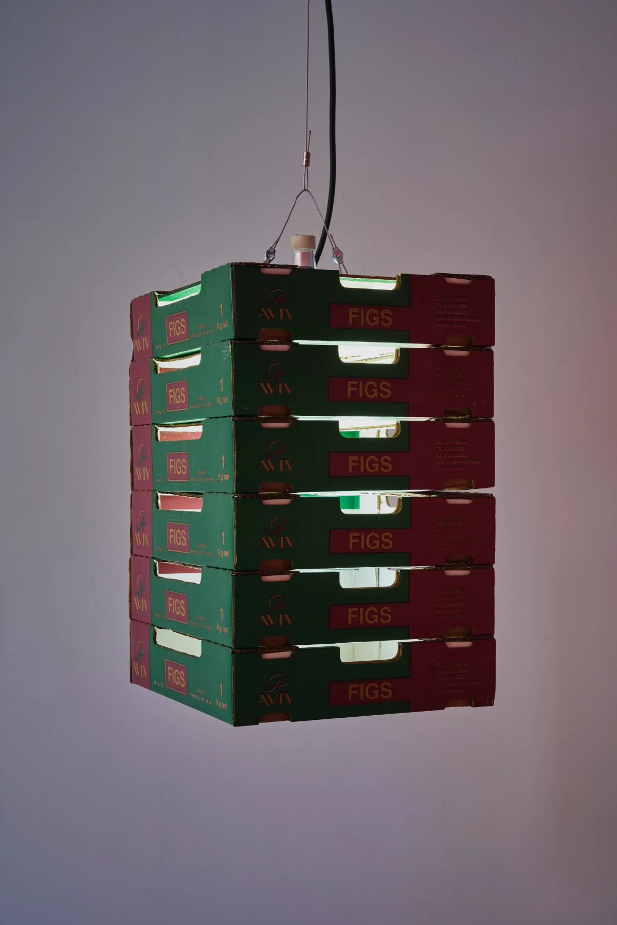 Adam Barker-Mill, Figs Lantern, 2011