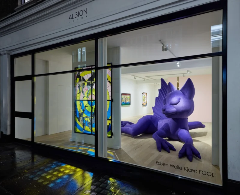 Installation shot from Esben Weile Kjær: FOOL, @ Albion Jeune