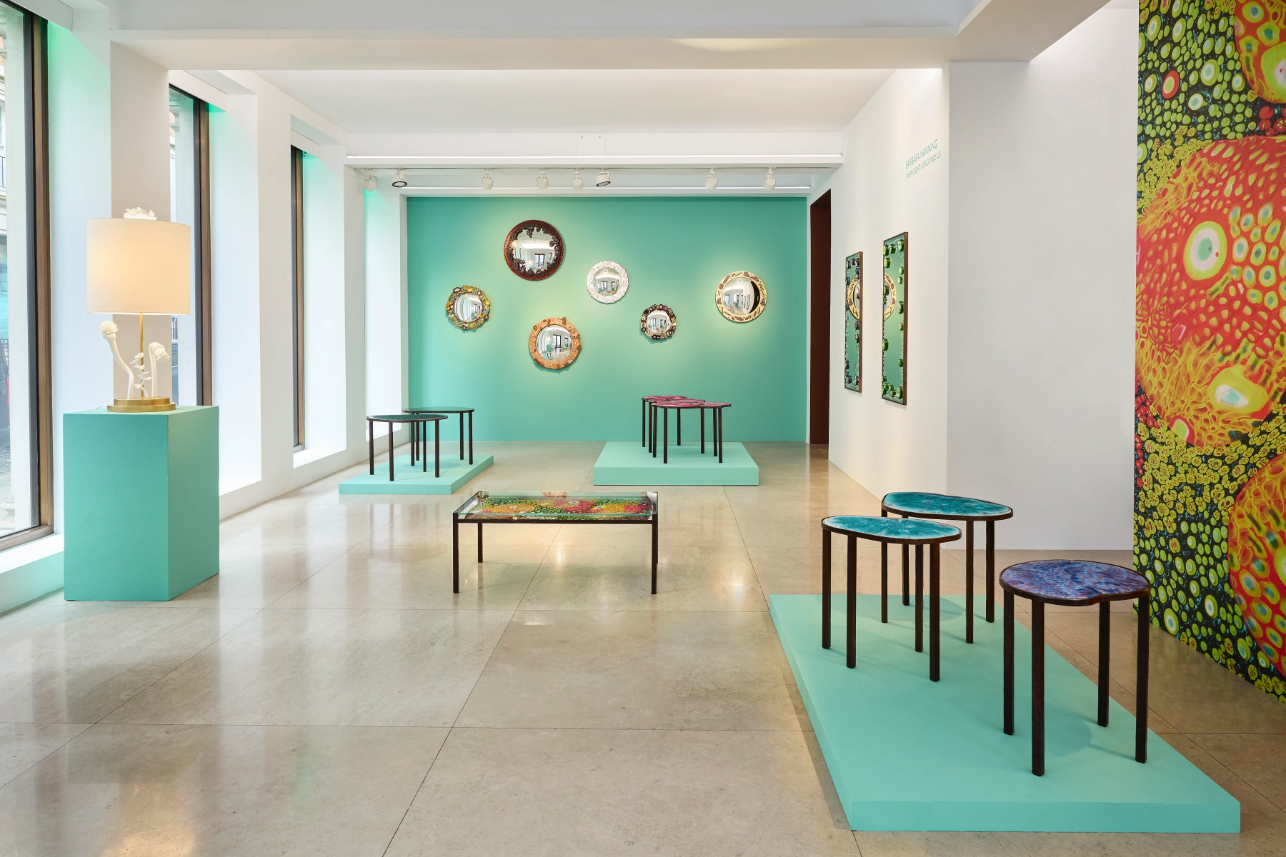 Image for Barbara Nanning: When Light Surrounds Us, at David Gill