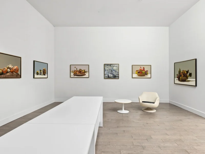 Installation shot from Luciano Ventrone: Legacy, @ Friedrichs Pontone