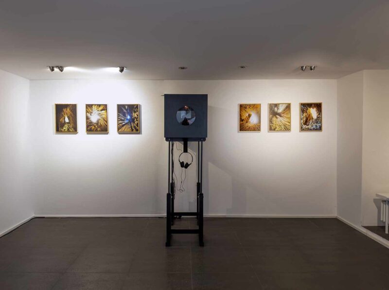 Installation shot from Nature’s Signatures, @ Luisa Catucci Contemporary