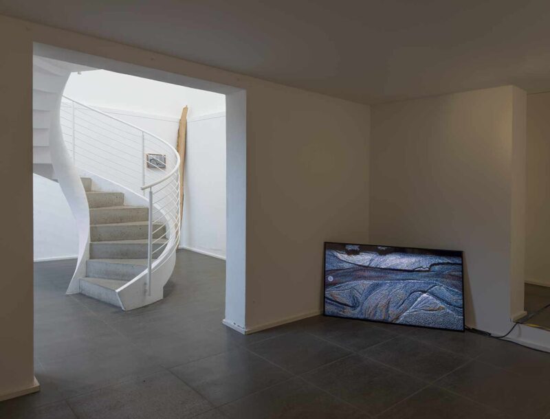 Installation shot from Nature’s Signatures, @ Luisa Catucci Contemporary