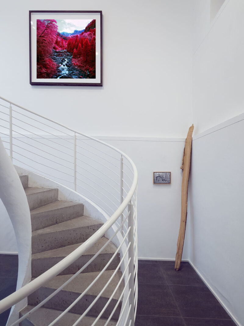 Installation shot from Nature’s Signatures, @ Luisa Catucci Contemporary