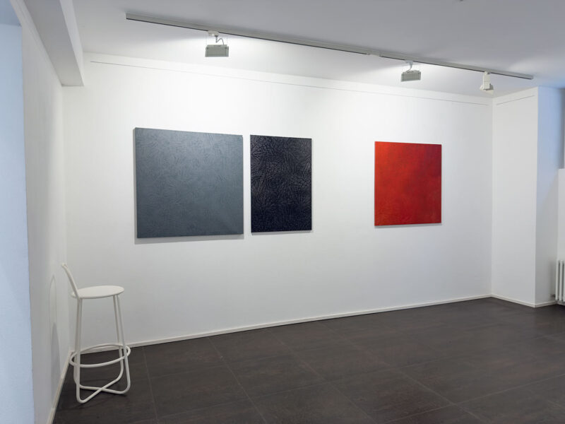 Installation shot from Nature’s Signatures, @ Luisa Catucci Contemporary