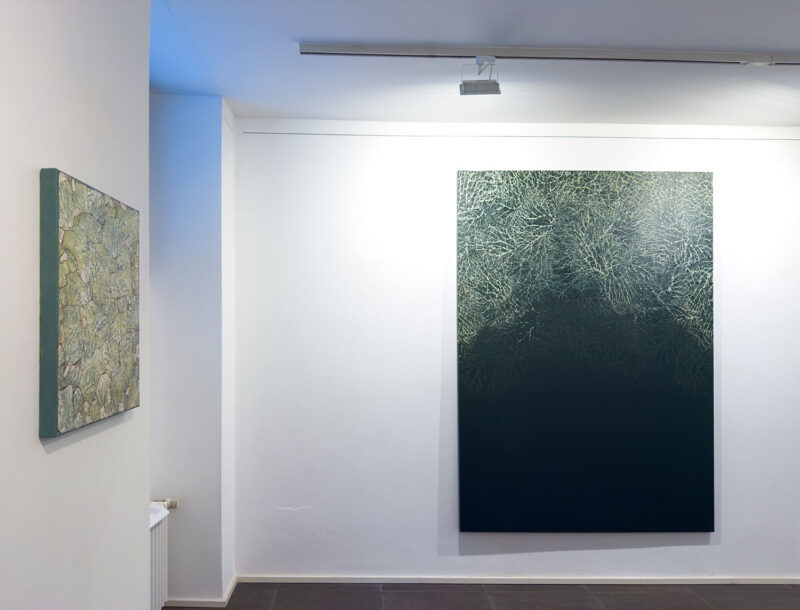 Installation shot from Nature’s Signatures, @ Luisa Catucci Contemporary