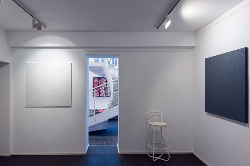 Installation shot from Nature’s Signatures, @ Luisa Catucci Contemporary