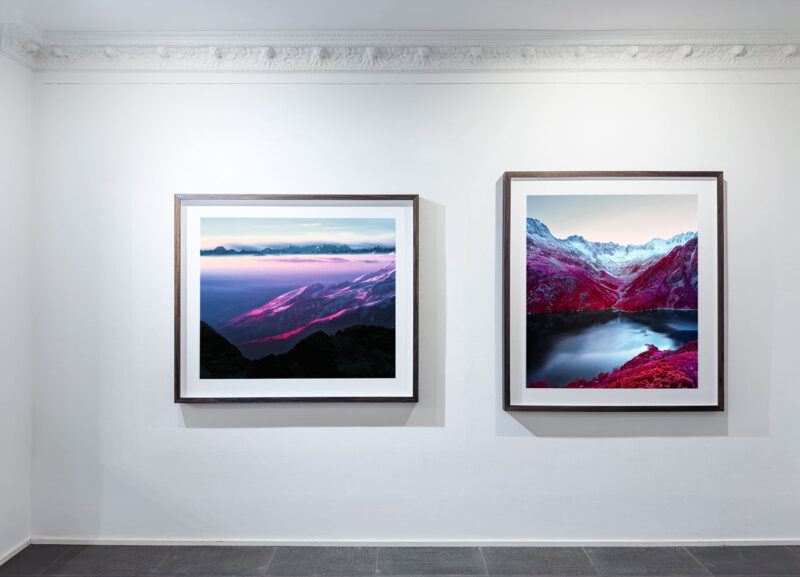 Installation shot from Nature’s Signatures, @ Luisa Catucci Contemporary