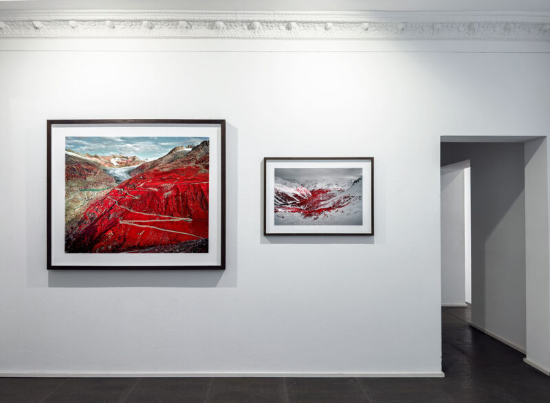 Installation shot from Nature’s Signatures, @ Luisa Catucci Contemporary